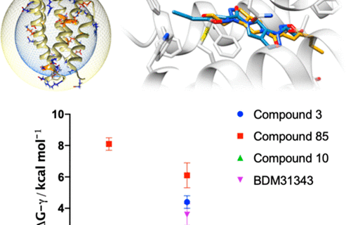Journal of Physical Chemistry Letters image