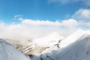 Faster, Higher, Stronger – Together: Enabling collective contributions to research